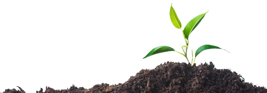 soil